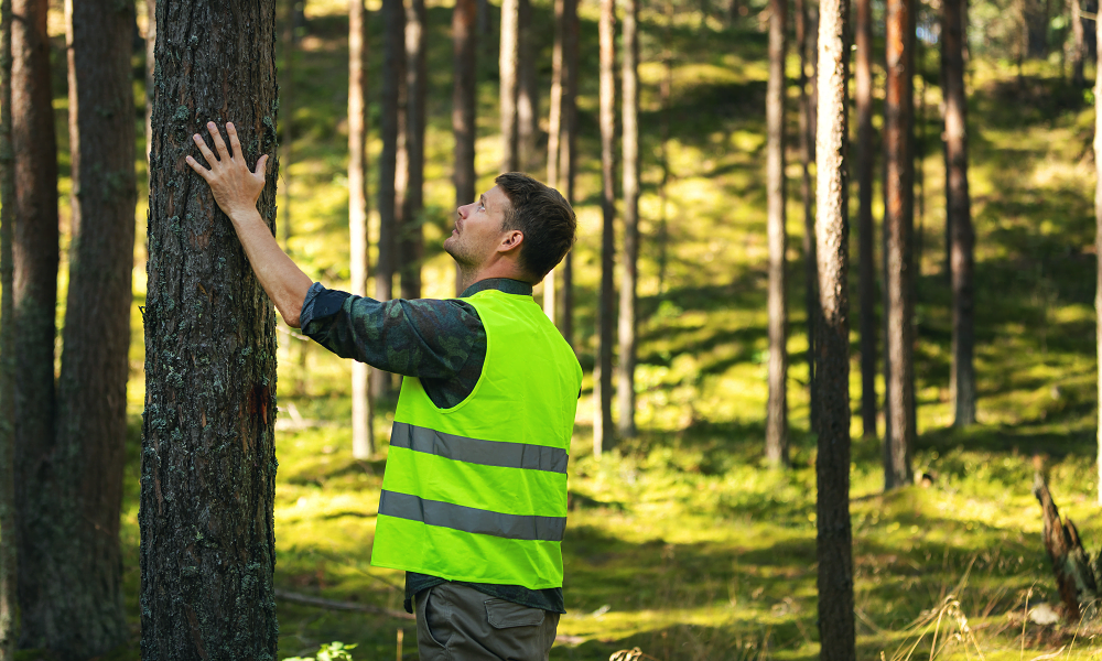 Persistent gaps in lone worker safety