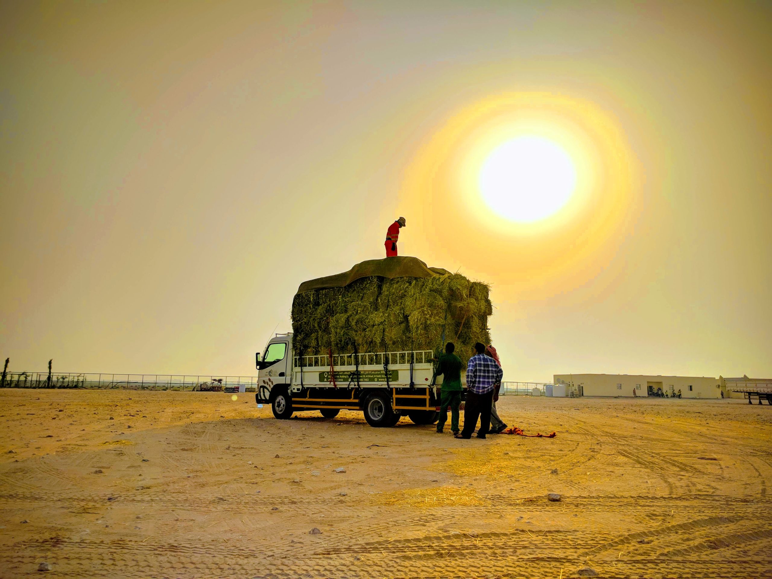 Heat at work: Implications for safety and health